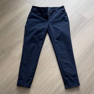 LOFT Navy Skinny Pants